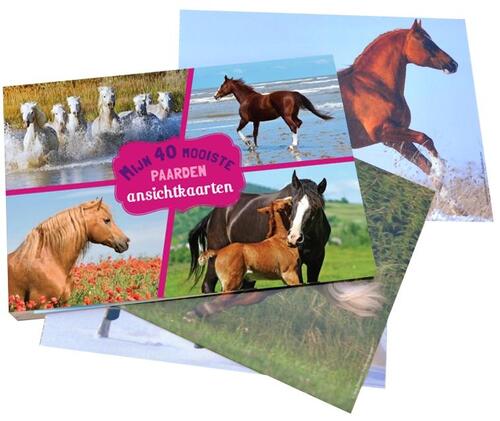 Mijn 40 mooiste paarden ansichtkaarten