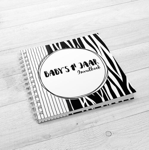 Banyan Misschien Wiskunde Baby's eerste jaar invulboek, Debbie van Zomeren-de Jong | Boek |  9789083096780 | ReadShop