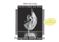 The Art of Black and White